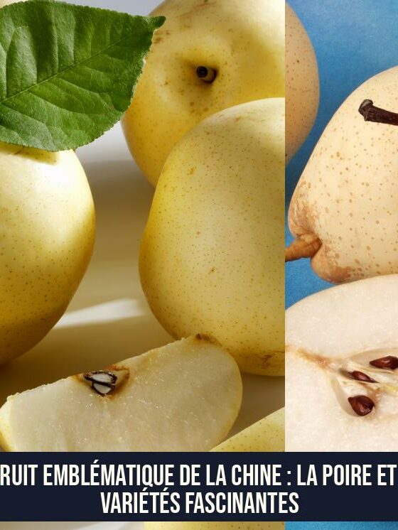 Le fruit emblématique de la Chine : la poire et ses variétés fascinantes