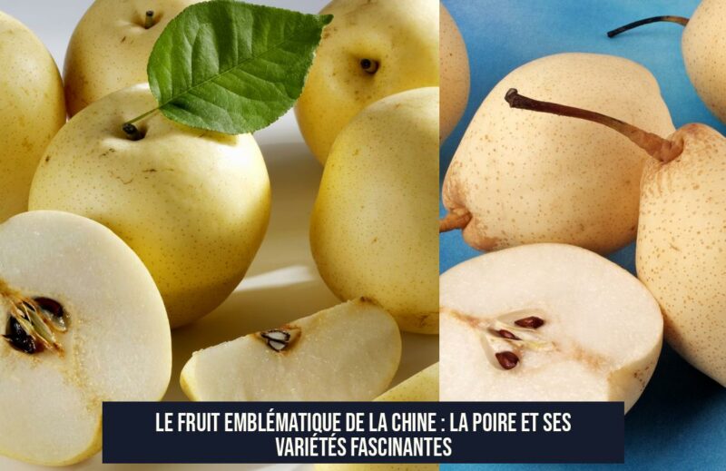 Le fruit emblématique de la Chine : la poire et ses variétés fascinantes