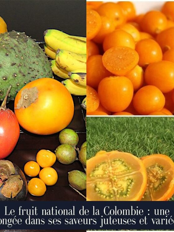 Le fruit national de la Colombie : une plongée dans ses saveurs juteuses et variées.