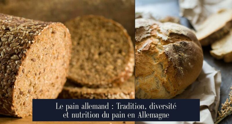 Le pain allemand : Tradition, diversité et nutrition du pain en Allemagne