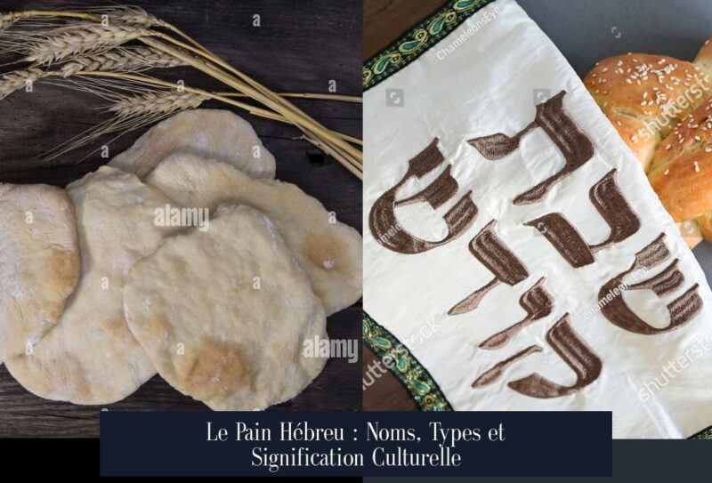 Le Pain Hébreu : Noms, Types et Signification Culturelle