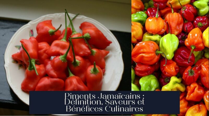 Piments Jamaïcains : Définition, Saveurs et Bénéfices Culinaires