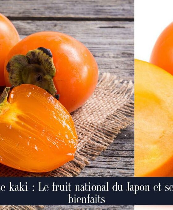 Le kaki : Le fruit national du Japon et ses bienfaits