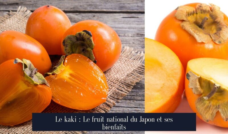 Le kaki : Le fruit national du Japon et ses bienfaits