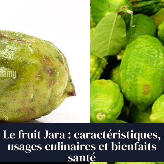 Le fruit Jara : caractéristiques, usages culinaires et bienfaits santé