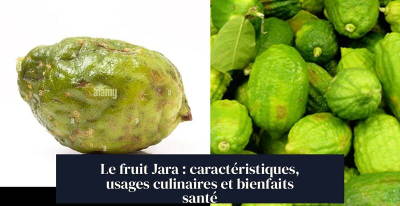 Le fruit Jara : caractéristiques, usages culinaires et bienfaits santé