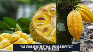 Tout savoir sur le fruit KOA : origine, bienfaits et applications culinaires