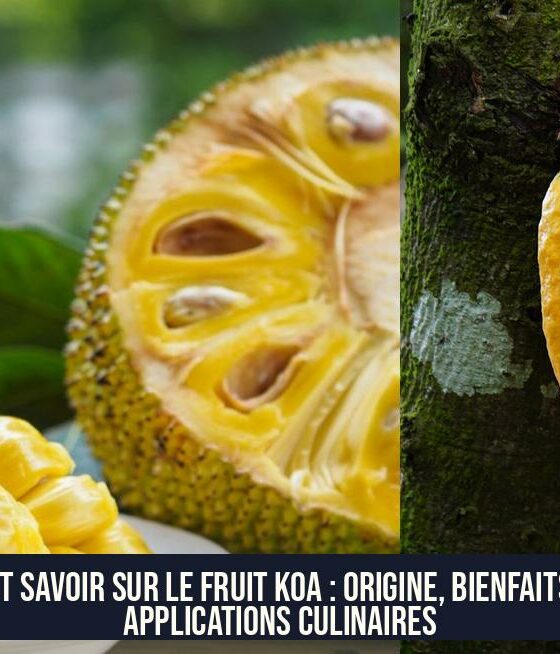 Tout savoir sur le fruit KOA : origine, bienfaits et applications culinaires