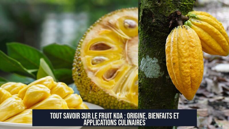Tout savoir sur le fruit KOA : origine, bienfaits et applications culinaires