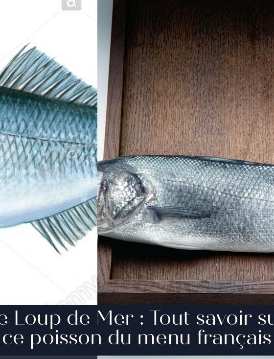 Le Loup de Mer : Tout savoir sur ce poisson du menu français