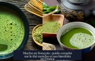 Macha en français : guide complet sur le thé matcha et ses bienfaits en France