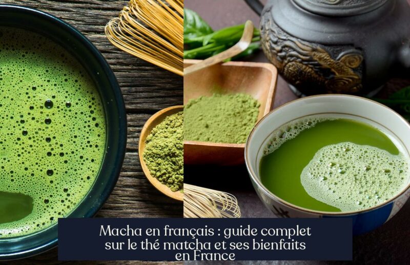 Macha en français : guide complet sur le thé matcha et ses bienfaits en France