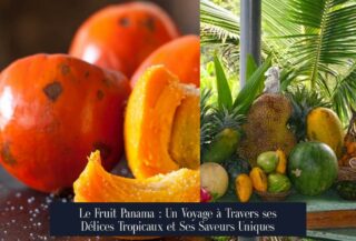 Le Fruit Panama : Un Voyage à Travers ses Délices Tropicaux et Ses Saveurs Uniques