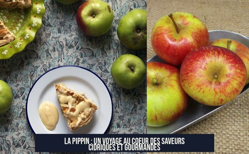 La Pippin : Un Voyage au Coeur des Saveurs Cidriques et Gourmandes