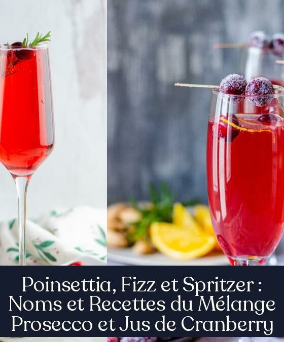 Poinsettia, Fizz et Spritzer : Noms et Recettes du Mélange Prosecco et Jus de Cranberry