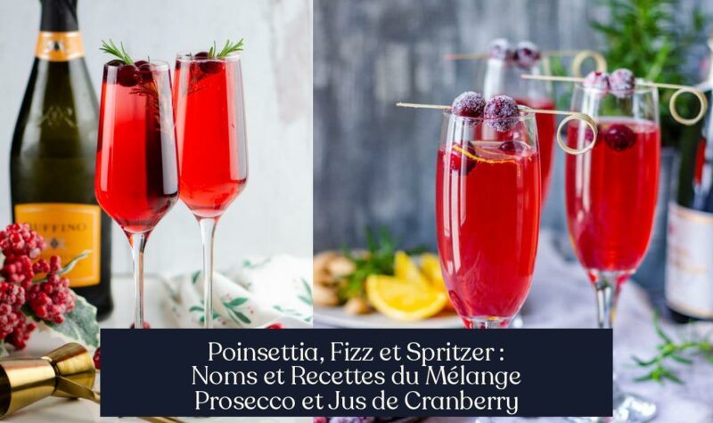 Poinsettia, Fizz et Spritzer : Noms et Recettes du Mélange Prosecco et Jus de Cranberry