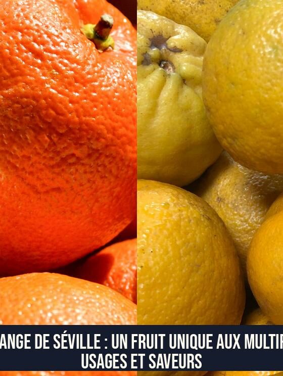 L'Orange de Séville : Un Fruit Unique aux Multiples Usages et Saveurs