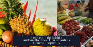 Les Fruits de Tahiti : Ambarella, Noni, Uru et Autres Délices Tropicaux