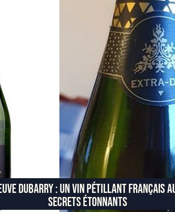 Veuve Dubarry : Un Vin Pétillant Français aux Secrets Étonnants