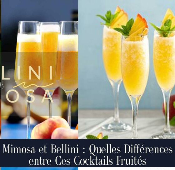 Mimosa et Bellini : Quelles Différences entre Ces Cocktails Fruités