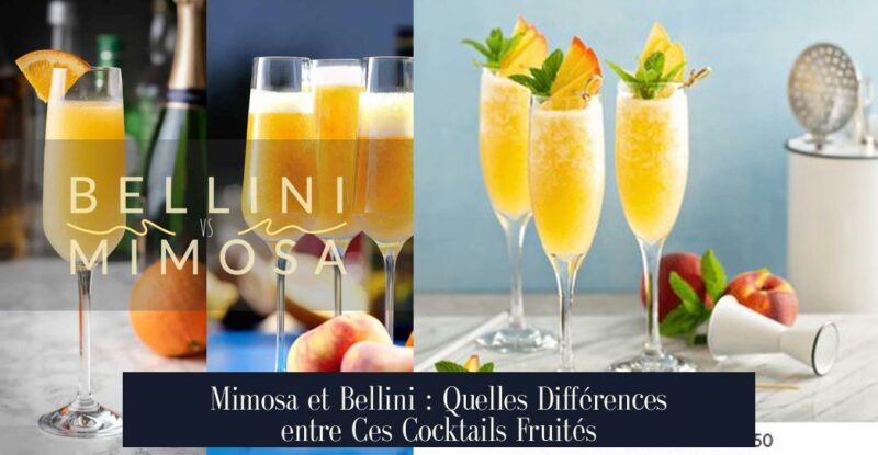 Mimosa et Bellini : Quelles Différences entre Ces Cocktails Fruités