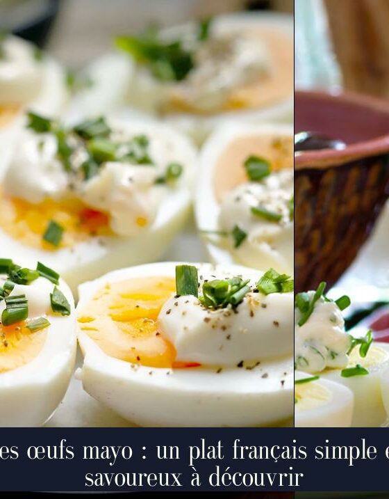 Les œufs mayo : un plat français simple et savoureux à découvrir