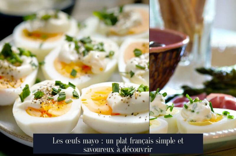 Les œufs mayo : un plat français simple et savoureux à découvrir