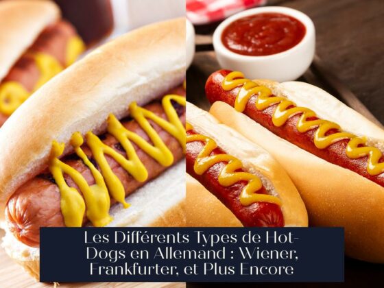Les Différents Types de Hot-Dogs en Allemand : Wiener, Frankfurter, et Plus Encore