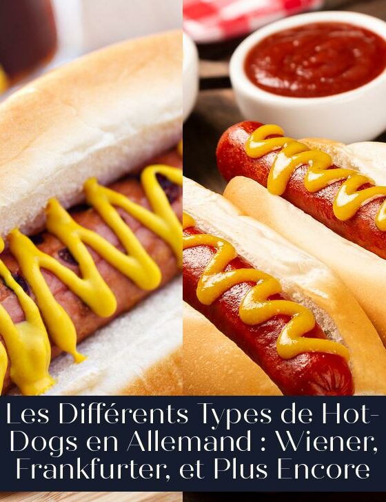Les Différents Types de Hot-Dogs en Allemand : Wiener, Frankfurter, et Plus Encore