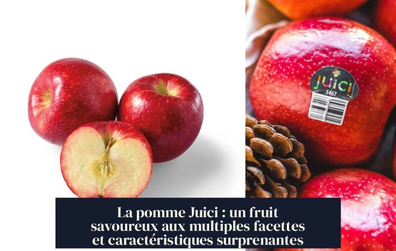 La pomme Juici : un fruit savoureux aux multiples facettes et caractéristiques surprenantes