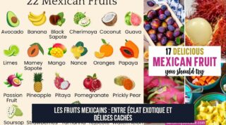 Les Fruits Mexicains : Entre Éclat Exotique et Délices Cachés
