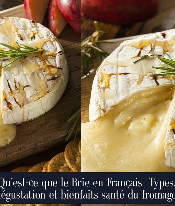 Qu'est-ce que le Brie en Français Types, dégustation et bienfaits santé du fromage.