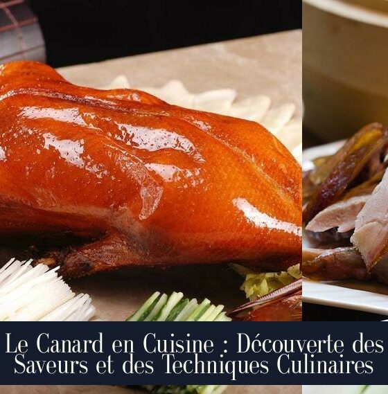 Le Canard en Cuisine : Découverte des Saveurs et des Techniques Culinaires