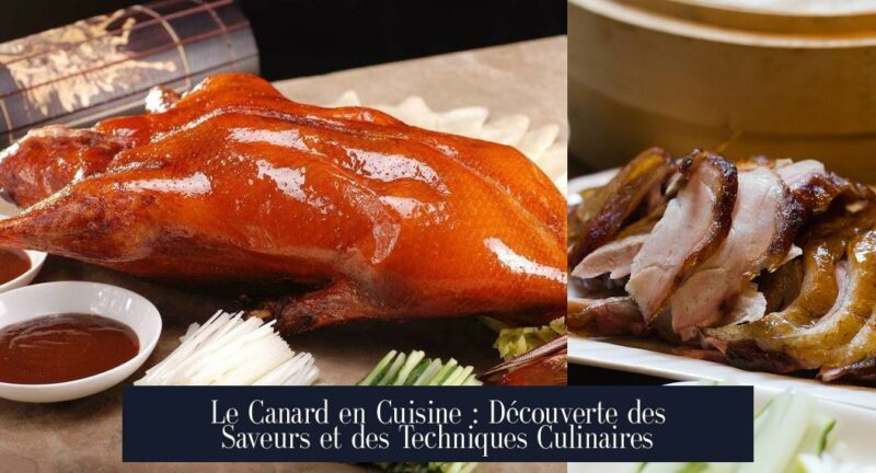 Le Canard en Cuisine : Découverte des Saveurs et des Techniques Culinaires