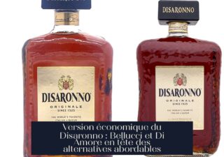 Version économique du Disaronno : Bellucci et Di Amore en tête des alternatives abordables
