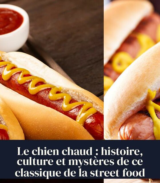 Le chien chaud : histoire, culture et mystères de ce classique de la street food