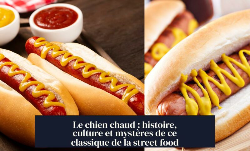 Le chien chaud : histoire, culture et mystères de ce classique de la street food