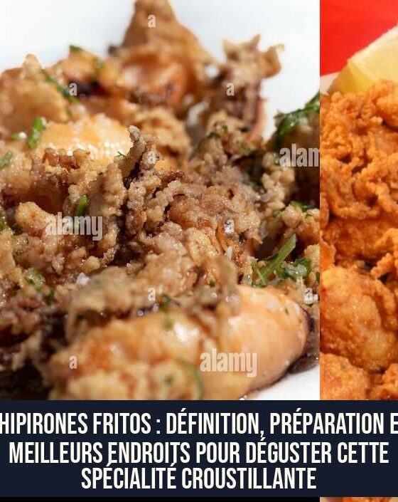 Chipirones Fritos : Définition, Préparation et Meilleurs Endroits pour Déguster cette Spécialité Croustillante