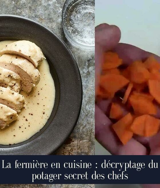 La fermière en cuisine : décryptage du potager secret des chefs