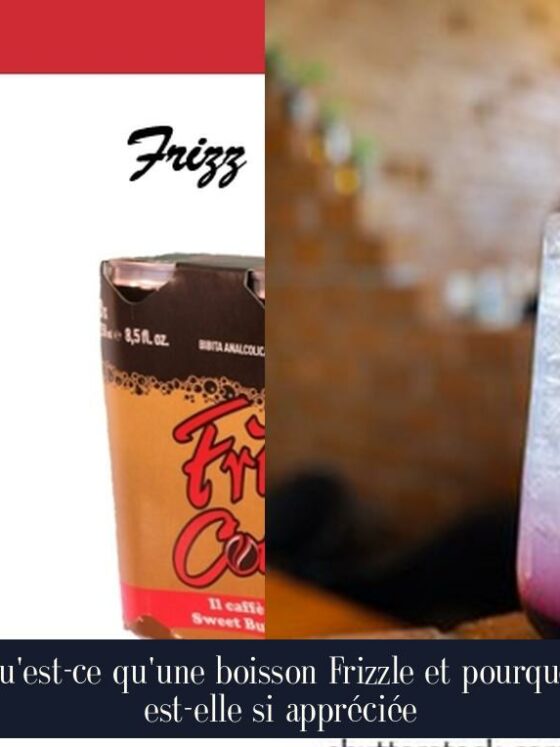 Qu'est-ce qu'une boisson Frizzle et pourquoi est-elle si appréciée