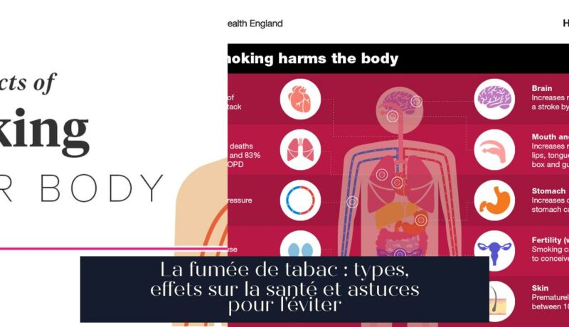 La fumée de tabac : types, effets sur la santé et astuces pour l'éviter