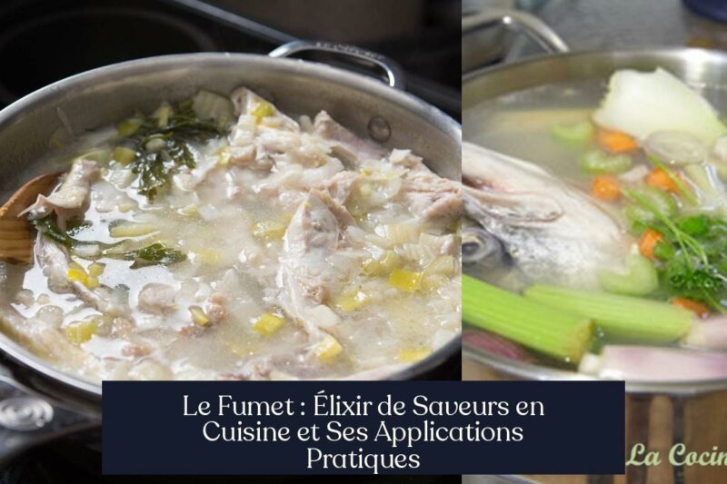 Le Fumet : Élixir de Saveurs en Cuisine et Ses Applications Pratiques