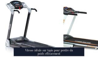 Vitesse idéale sur tapis pour perdre du poids efficacement