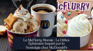 Le McFlurry Mamie : Le Délice Éphémère Inspiré par la Nostalgie chez McDonald's