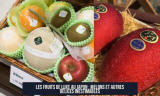 Les Fruits de Luxe au Japon : Melons et Autres Délices Inestimables