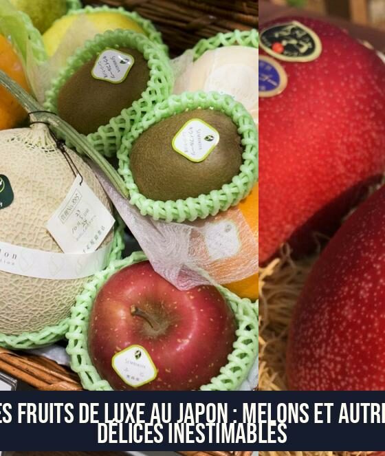 Les Fruits de Luxe au Japon : Melons et Autres Délices Inestimables