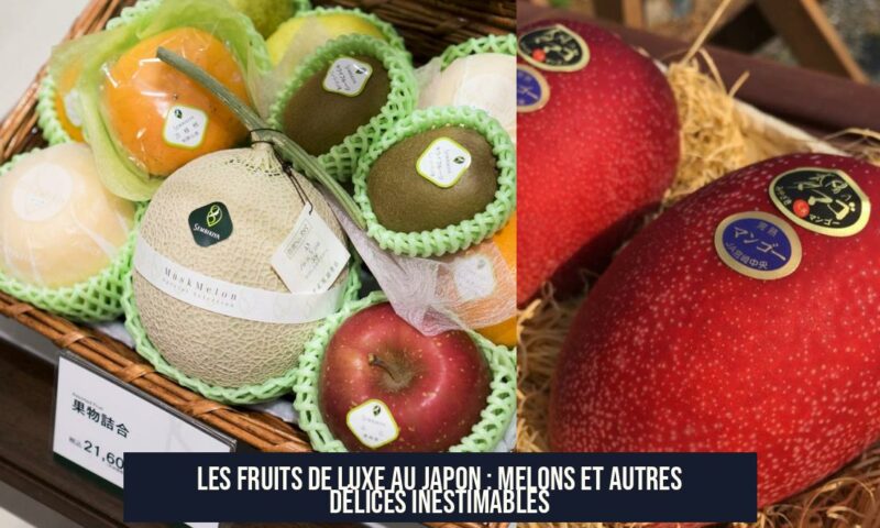 Les Fruits de Luxe au Japon : Melons et Autres Délices Inestimables