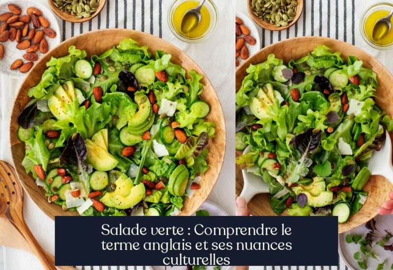 Salade verte : Comprendre le terme anglais et ses nuances culturelles