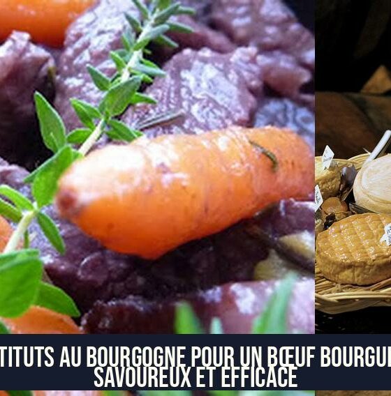 Substituts au Bourgogne pour un bœuf bourguignon savoureux et efficace