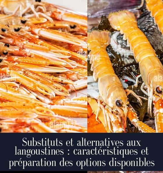 Substituts et alternatives aux langoustines : caractéristiques et préparation des options disponibles